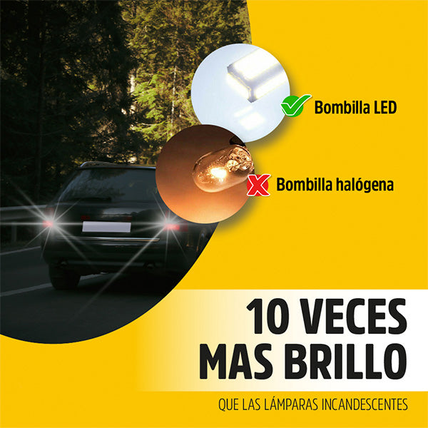 gid://shopify/MediaImage/26444669517859